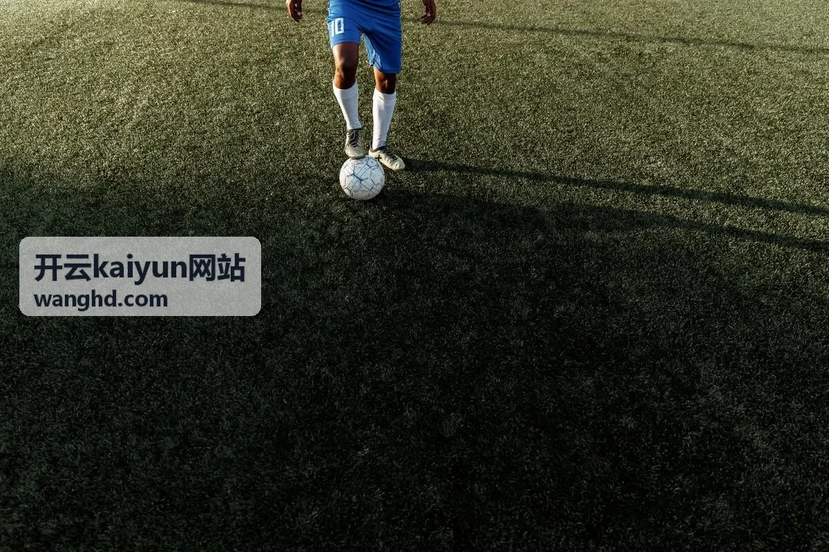 开云kaiyun网站客户合作栏目内容范围示意